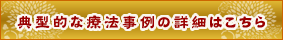 国会タイムズ詳細はこちら